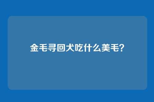 金毛寻回犬吃什么美毛?
