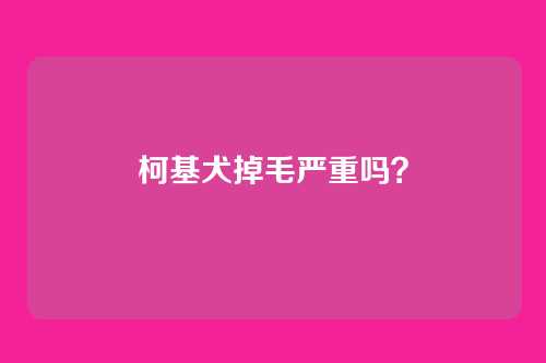 柯基犬掉毛严重吗?