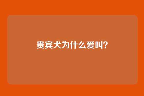 贵宾犬为什么爱叫?