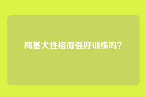 柯基犬性格倔强好训练吗?