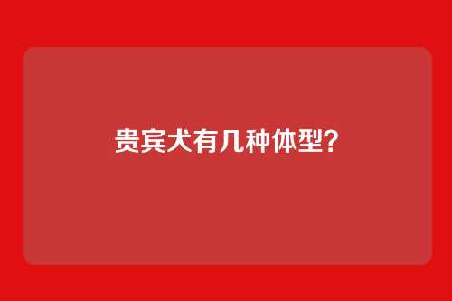 贵宾犬有几种体型?