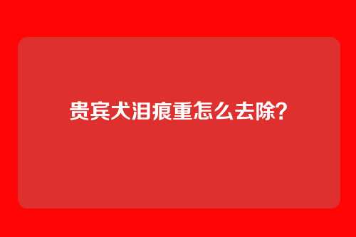贵宾犬泪痕重怎么去除?
