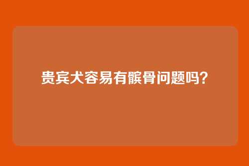 贵宾犬容易有髌骨问题吗?