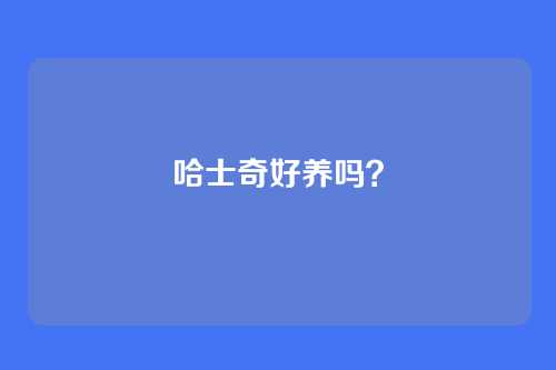 哈士奇好养吗?