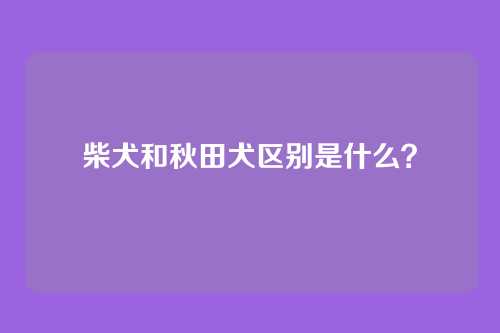 柴犬和秋田犬区别是什么?