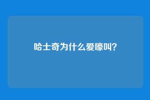 哈士奇为什么爱嚎叫?
