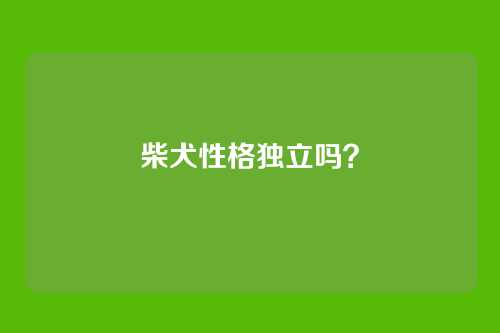 柴犬性格独立吗？