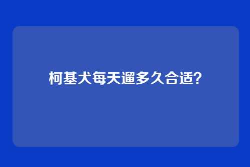 柯基犬每天遛多久合适？