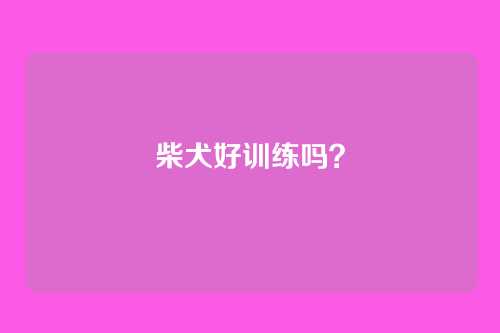 柴犬好训练吗？