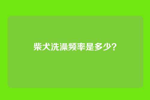 柴犬洗澡频率是多少?