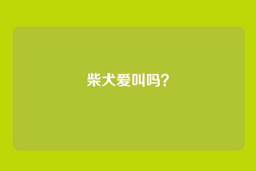 柴犬爱叫吗?