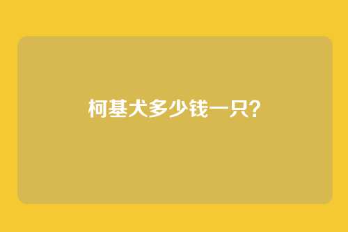 柯基犬多少钱一只?