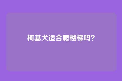 柯基犬适合爬楼梯吗？