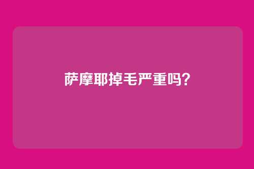 萨摩耶掉毛严重吗?
