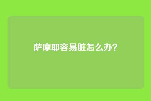 萨摩耶容易脏怎么办？