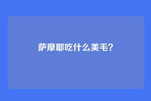萨摩耶吃什么美毛？