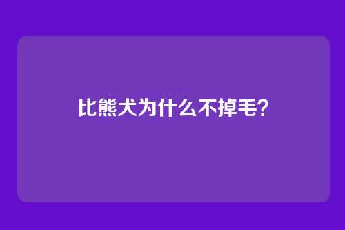 比熊犬为什么不掉毛?