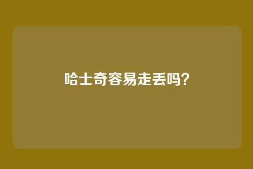 哈士奇容易走丢吗?