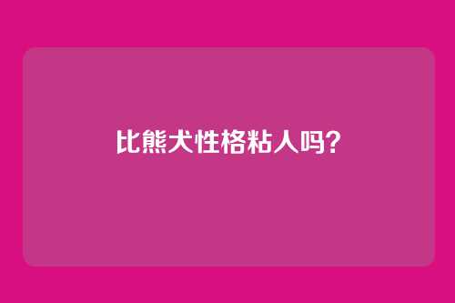 比熊犬性格粘人吗?