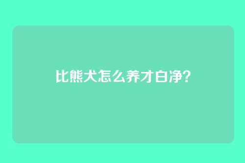 比熊犬怎么养才白净？