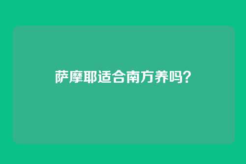 萨摩耶适合南方养吗?
