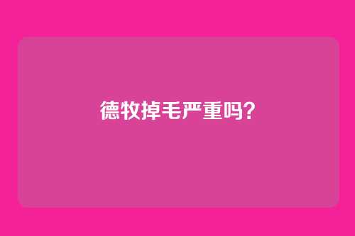 德牧掉毛严重吗？