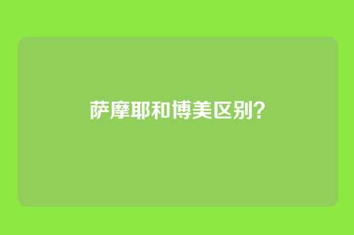 萨摩耶和博美区别?