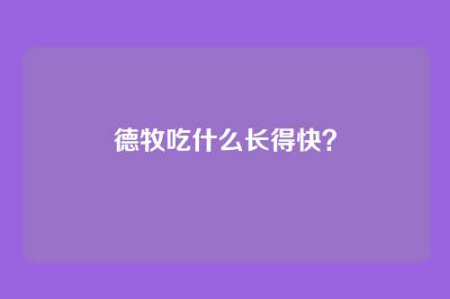 德牧吃什么长得快?