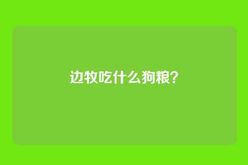 边牧吃什么狗粮？