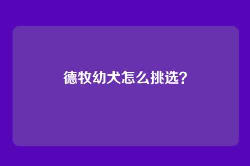德牧幼犬怎么挑选?