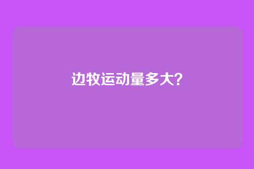 边牧运动量多大？