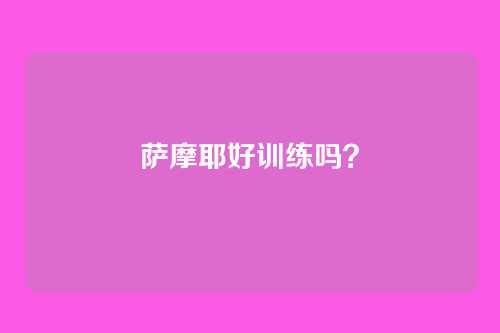萨摩耶好训练吗？