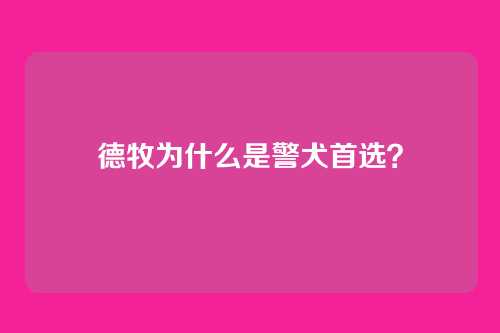 德牧为什么是警犬首选?