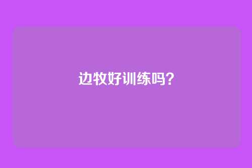 边牧好训练吗？