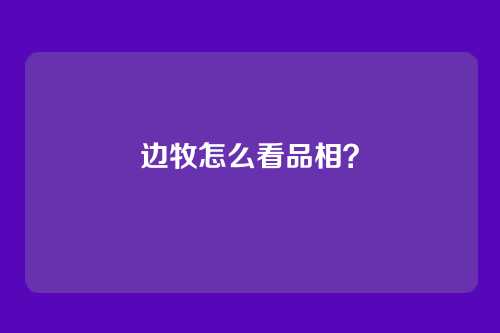 边牧怎么看品相?