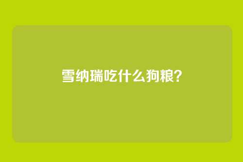 雪纳瑞吃什么狗粮？