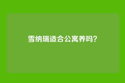 雪纳瑞适合公寓养吗？
