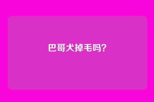 巴哥犬掉毛吗?