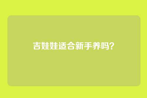 吉娃娃适合新手养吗？