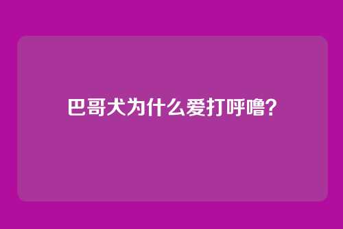 巴哥犬为什么爱打呼噜?