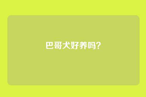 巴哥犬好养吗？
