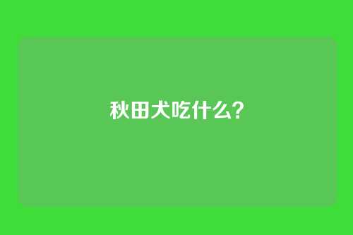 秋田犬吃什么?