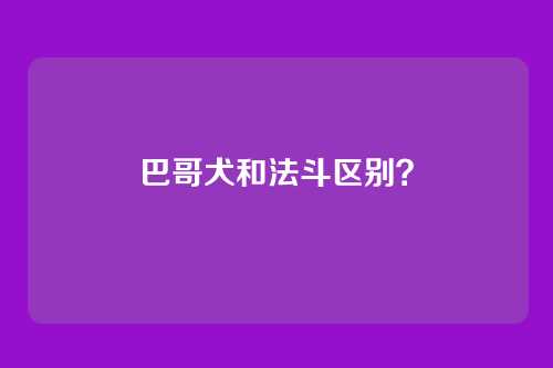巴哥犬和法斗区别?
