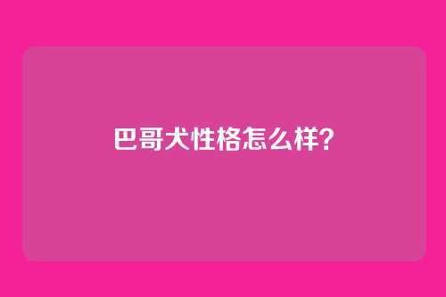 巴哥犬性格怎么样?