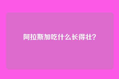 阿拉斯加吃什么长得壮？
