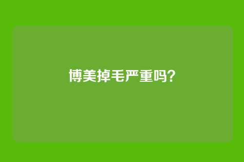 博美掉毛严重吗？