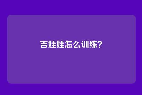 吉娃娃怎么训练?