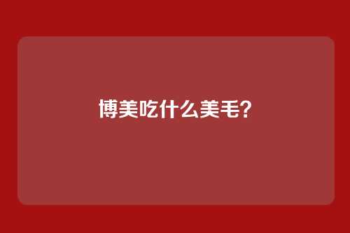 博美吃什么美毛?