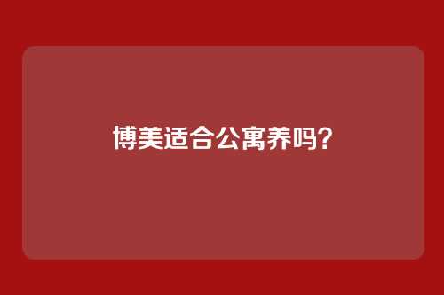 博美适合公寓养吗?