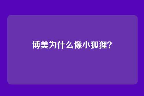 博美为什么像小狐狸？